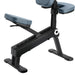 Master Massage - Gymlane Portable Massage Chair Royal Blue - BioHealing Plus